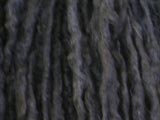 プーリーの縄状毛の画像